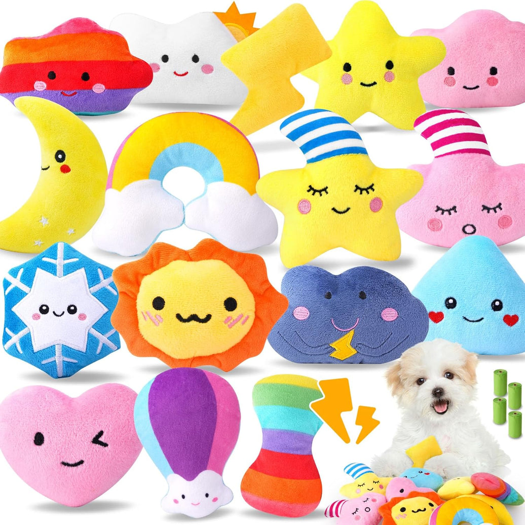 Weather-Themed Squeaky Plush Dog Toy Set (20 pcs)
