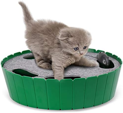 Interactive Cat Track Toy with Running Mouse