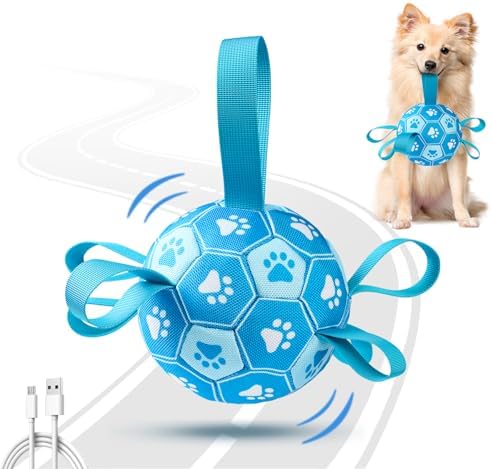 Automatic Moving Dog Ball – USB Rechargeable