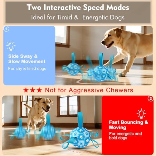 Automatic Moving Dog Ball – USB Rechargeable