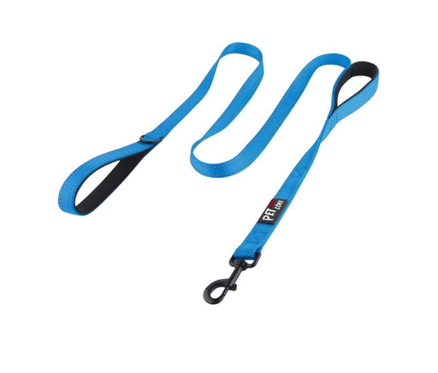 Double-Handle Reflective Dog Leash, 6ft (Light Blue)