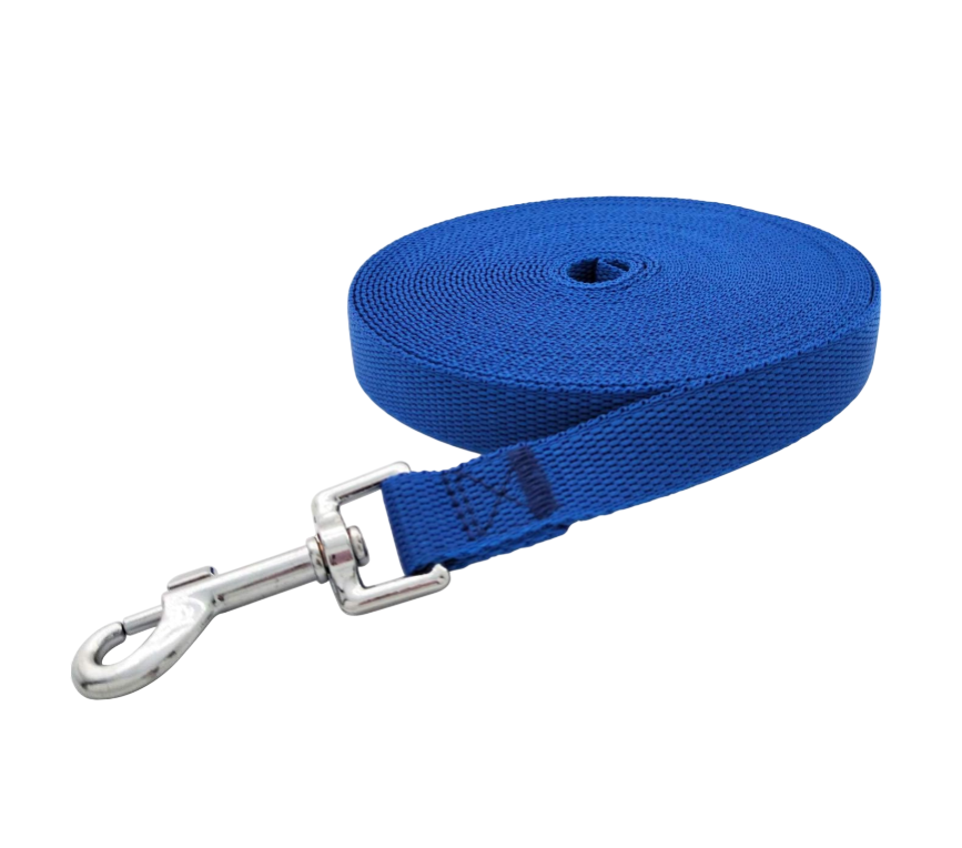 Long Nylon Training Leash for Dogs (Blue)