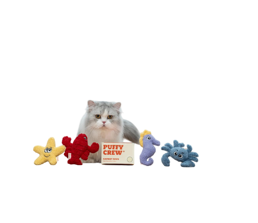 Ocean Catnip Plush Toys (4-Pack)