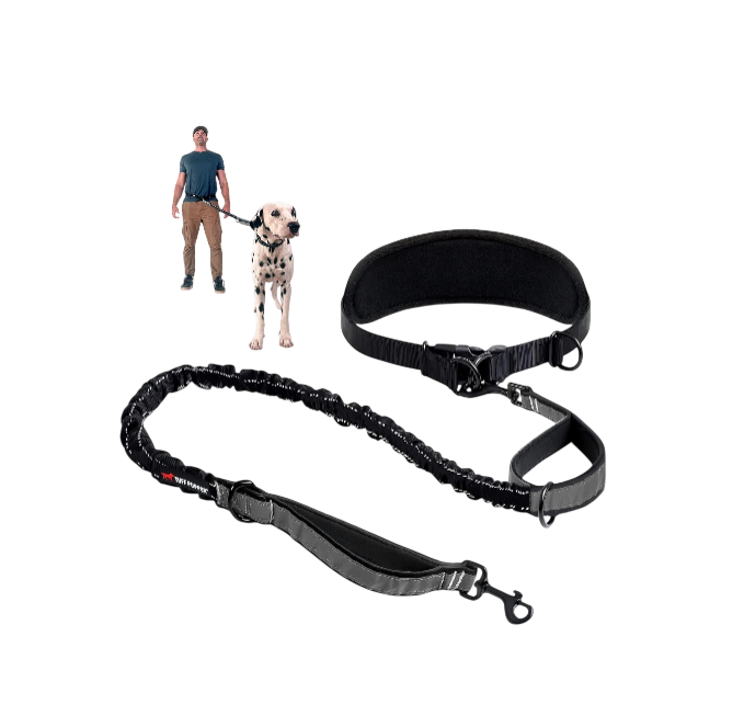 Hands-Free Bungee Dog Leash with Waist Belt