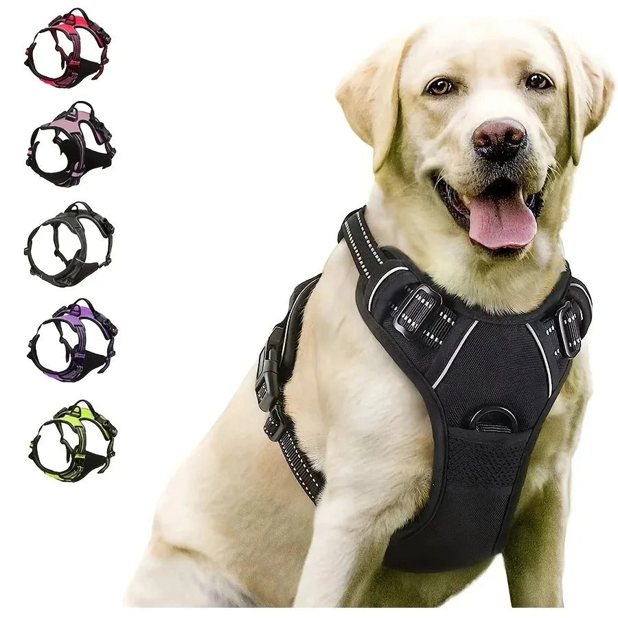 Leather Puppy Harness, Collar & Leash Set