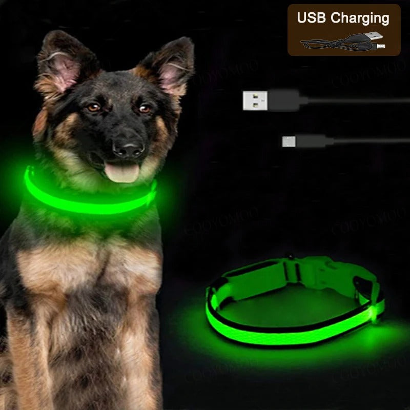 LED Glow Dog Collar – 3 Modes, USB