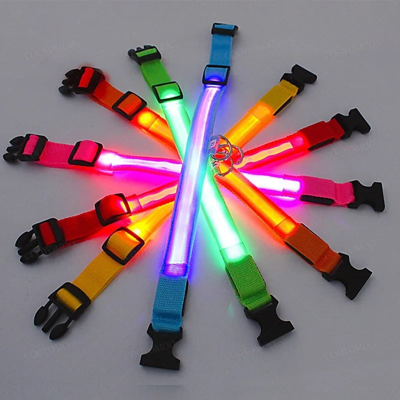 LED Glow Dog Collar – 3 Modes, USB