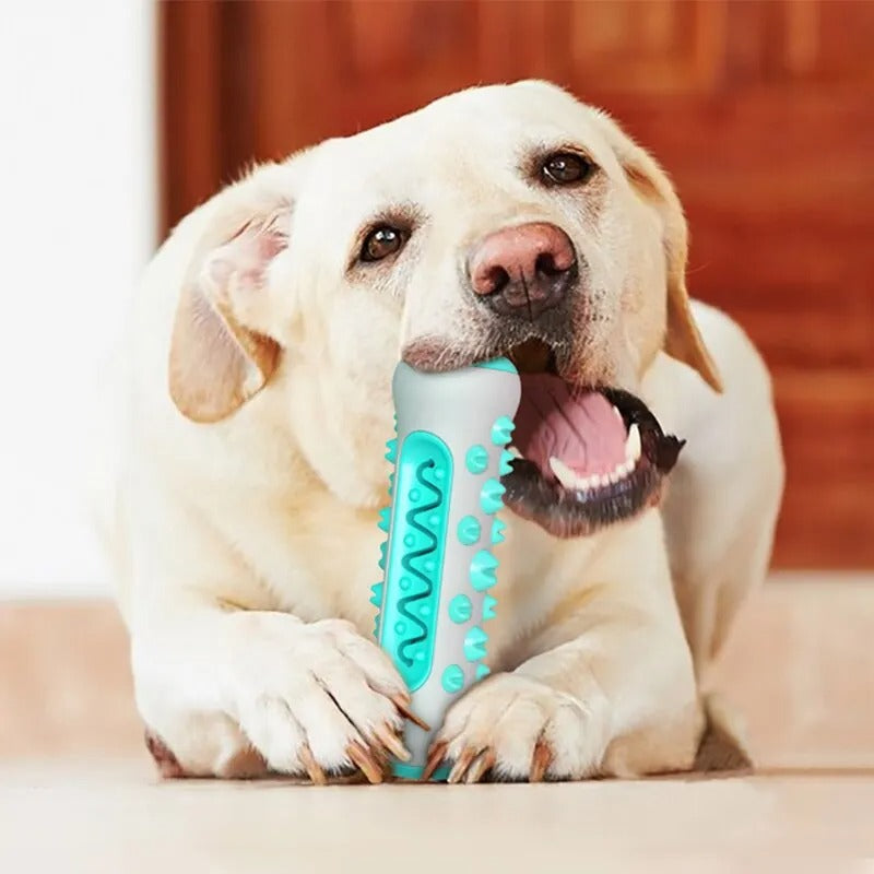 Dental Chew Stick for Dogs
