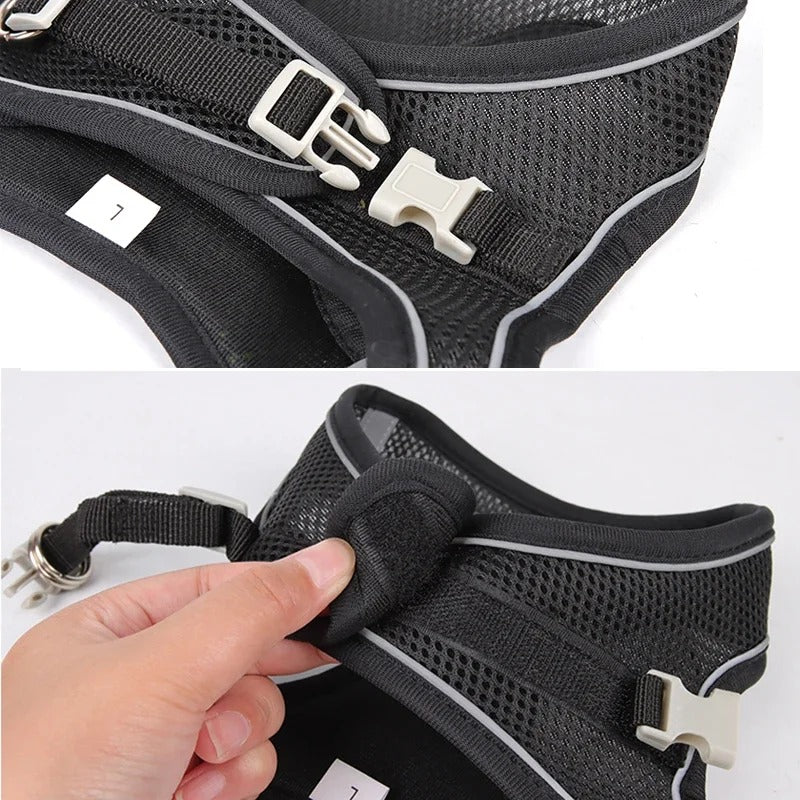 Puppy Harness, Collar & Leash Set (6–10 kg)