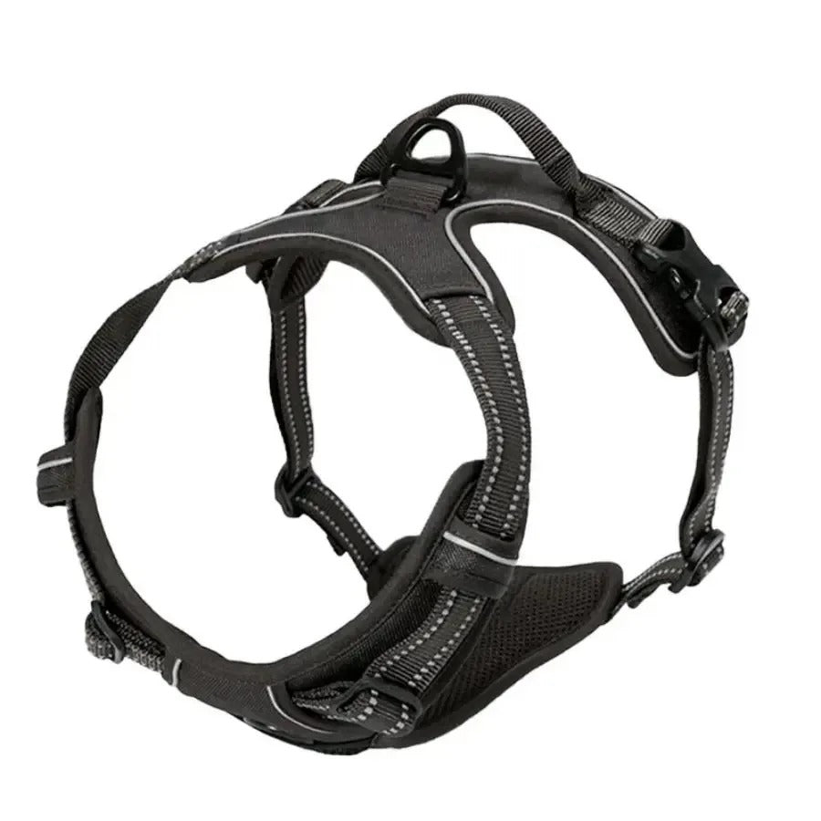 Leather Puppy Harness, Collar & Leash Set