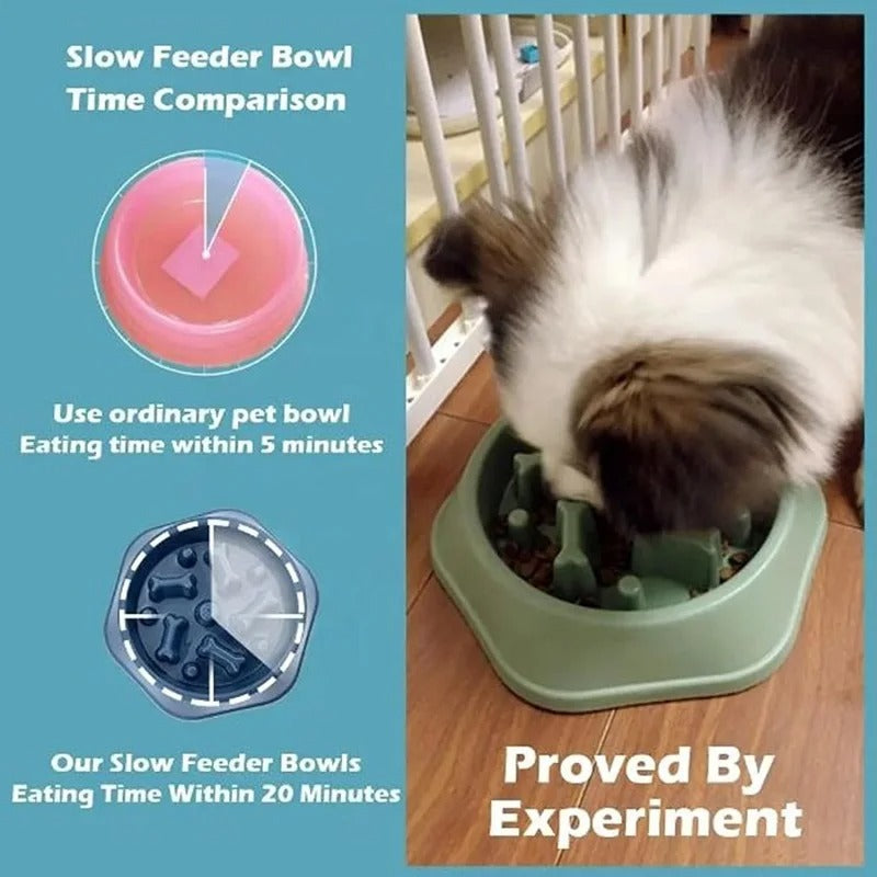 Non-Slip Slow Feeder Bowl for Dogs & Cats