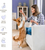 Ultimate Celebration Cake Bites, Soft-Baked Dog Treats and Cookies with Real Ingredients, 12 oz