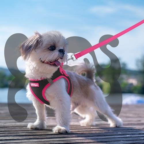 Dog Harness Small Sized and Leash Set, Step-in Breathable Pet Harness, Soft Walking Reflective Puppy Vest for Small Dogs, Black & Rose Red, S
