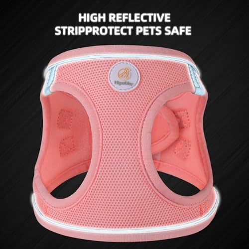 Dog Harness and Leash Set, No Pull Soft Mesh Puppy Harness for Small Medium Dogs, Cats - Step in Reflective Breathable Lightweight Vest Harness for Walking, Training - Pink, XS