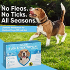 Flea and Tick Prevention for Dogs: Flea & Tick Topical for Medium Dogs 23-44 lbs, 6 Dose Flea and Tick Prevention for 6 Months (6 Pack)