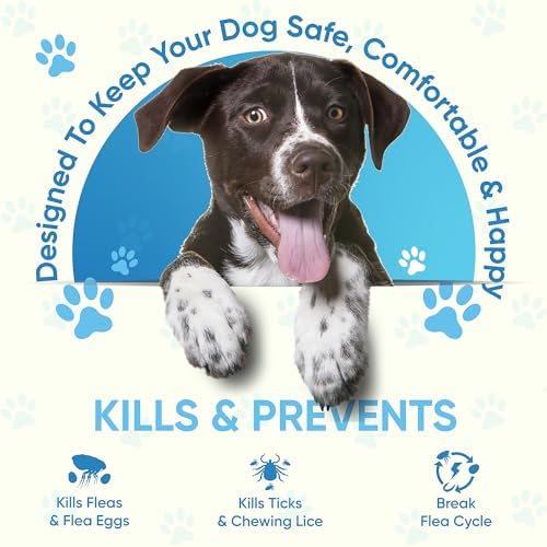 Flea and Tick Prevention for Dogs: Flea & Tick Topical for Medium Dogs 23-44 lbs, 6 Dose Flea and Tick Prevention for 6 Months (6 Pack)
