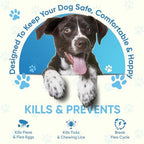 Flea and Tick Prevention for Dogs: Flea & Tick Topical for Medium Dogs 23-44 lbs, 6 Dose Flea and Tick Prevention for 6 Months (6 Pack)