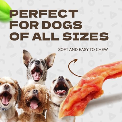 Chicken Jerky Dog Treats, Real Chicken Strips Dog Training Treats Soft Rawhide-Free Chews Healthy Snacks for Small Medium Large Breed 10.58oz
