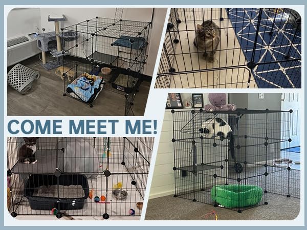Indoor Cat Playpen Enclosure (35")