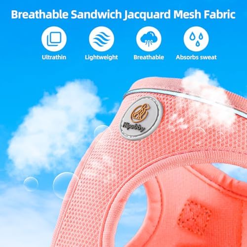 Dog Harness and Leash Set, No Pull Soft Mesh Puppy Harness for Small Medium Dogs, Cats - Step in Reflective Breathable Lightweight Vest Harness for Walking, Training - Pink, XS