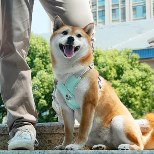 Dog Harness with Leash Set Adjustable Soft Padded Step-in Dog Vest No Choke No Pull Reflective for Small Medium Pets with Poop Bags and Dispenser, Solid and No-chew, Green M