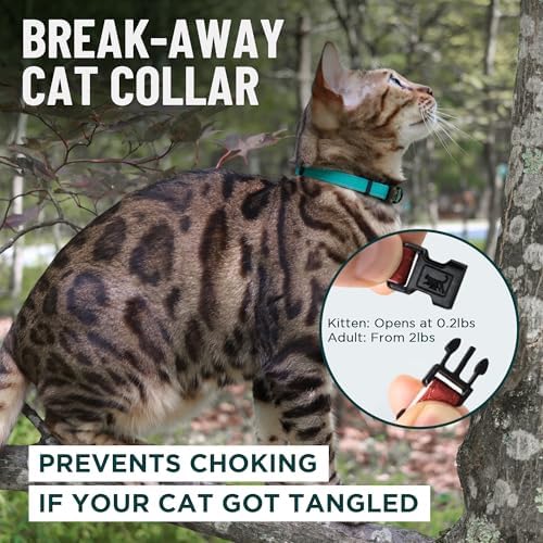 OutdoorBengal Red Cat Collar Breakaway with Soft Padding for Medium to Large Cats - Durable Heavy Duty Tactical Fabric, Comfortable, Quick Release Breakaway Cat Collars, No Bell Collar (Red, Adult)
