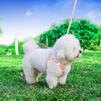 Dog Harness and Leash Set, No Pull Soft Mesh Puppy Harness for Small Medium Dogs, Cats - Step in Reflective Breathable Lightweight Vest Harness for Walking, Training - Pink, XS