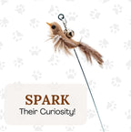 Cat Toys for Bored Indoor Adult Cats Any Surface Base Wand Stimulation Toys for Indoor Cats Cat Feather Toy Cat Feather Cat Toy Wand Juguetes para Gatos Activos Juegos para Gatos