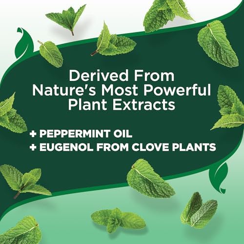 Natural Flea and Tick Spray for Dogs – Plant-Based Flea Repellent with Certified Essential Oils – Natural Pest Control and Prevention – Non-Toxic Formula for Home Use – 8 oz Bottle