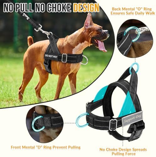No Pull Dog Harness - Heavy Duty Dog Harness and Leash Set for Medium Large Dogs, Reflective Tactical Harness with Soft Padded and Front Clip for Easy Walk and Training (Black L)