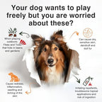 Dog Flea and Tick Prevention Allergy Chews Omega 3 for Dogs Treatment Chewable Natural Flea and Tick Skin and Coat Supplement Immune Dog Chews Yeast Relief Prevention for Dogs Itching and Licking
