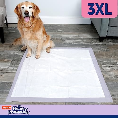 Hartz Home Protection Lavender Scented Dog Pads, 3XL 60 Count, Super Absorbent & Won't Leak, Odor Eliminating