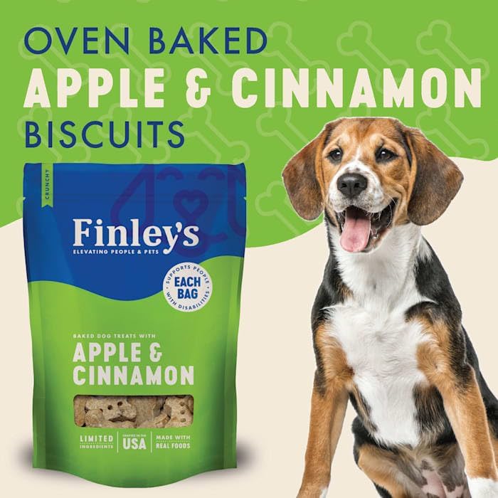 Apple Cinnamon Dog Biscuits Treats for Dogs Made in USA | Natural Apple Cinnamon Dog Treat | Wheat Free Dog Treats | Healthy Dog Treat Bags (12 oz)