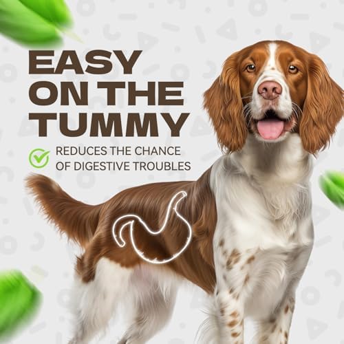Chicken Jerky Dog Treats, Real Chicken Strips Dog Training Treats Soft Rawhide-Free Chews Healthy Snacks for Small Medium Large Breed 10.58oz