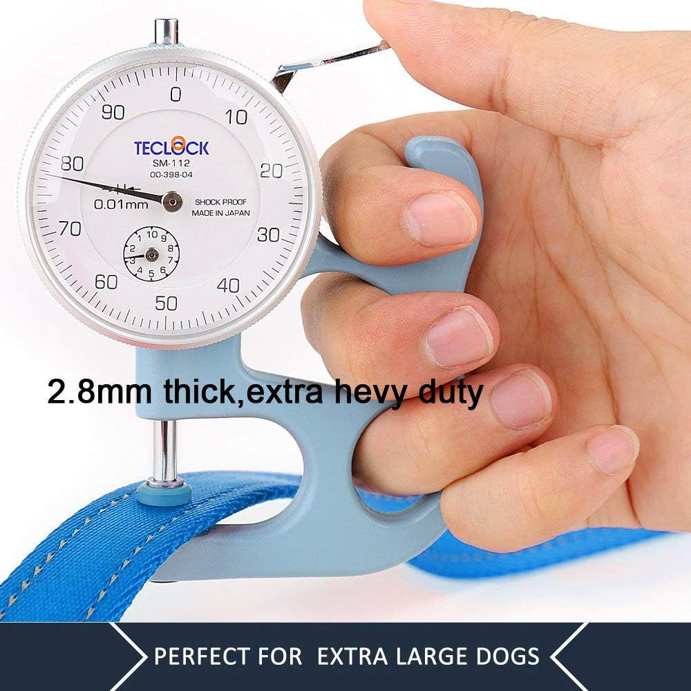 Dog Leash 6ft Long,Traffic Padded Two Handle,Heavy Duty,Reflective Double Handles Lead for Control Safety Training,Leashes for Large Dogs or Medium Dogs,Dual Handles Leads(Light Blue)