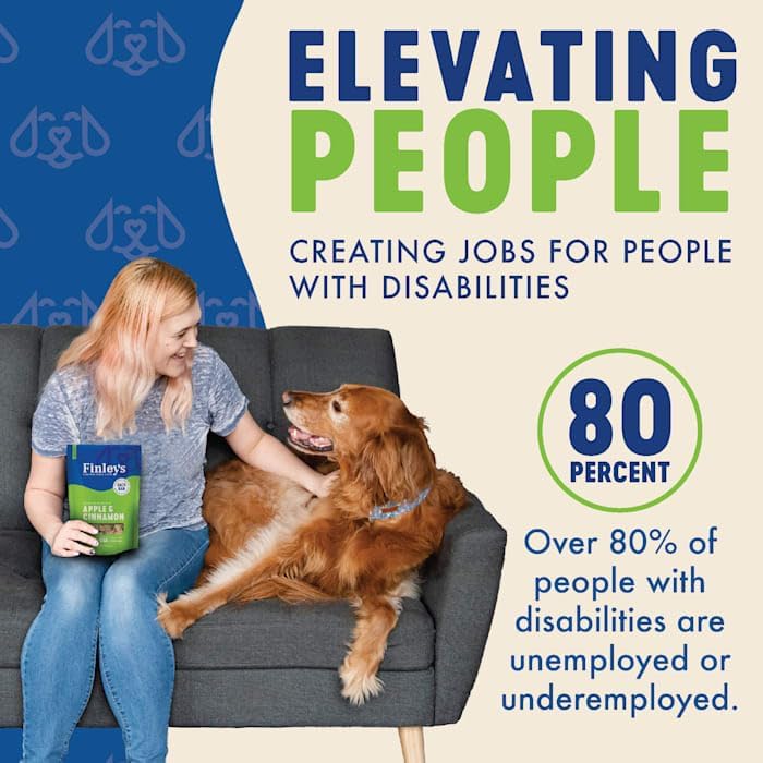 Apple Cinnamon Dog Biscuits Treats for Dogs Made in USA | Natural Apple Cinnamon Dog Treat | Wheat Free Dog Treats | Healthy Dog Treat Bags (12 oz)