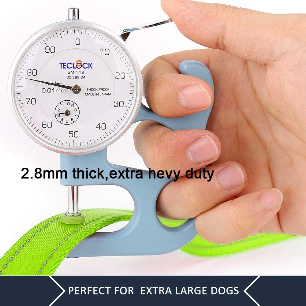 Double Handle Dog Leash 6ft Long, Padded 2 Handle, Heavy Duty, Reflective Training Leash for Medium Large Dogs, Dual Handle Lead (Green)