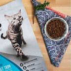 Freestyle High Protein Trim Cat Food, Salmon & Lentils Recipe - Natural Grain-Free Dry Cat Food for Weight Management with l-Carnitine, Natural Fiber, & Probiotics, 2 lb Bag