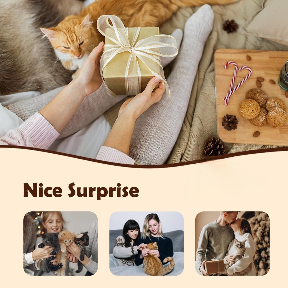 Cat Toy, 2026 Upgrade Interactive Chirping Bird with Flapping Wings, Rechargeable Toy for Indoor Cats(Orange)