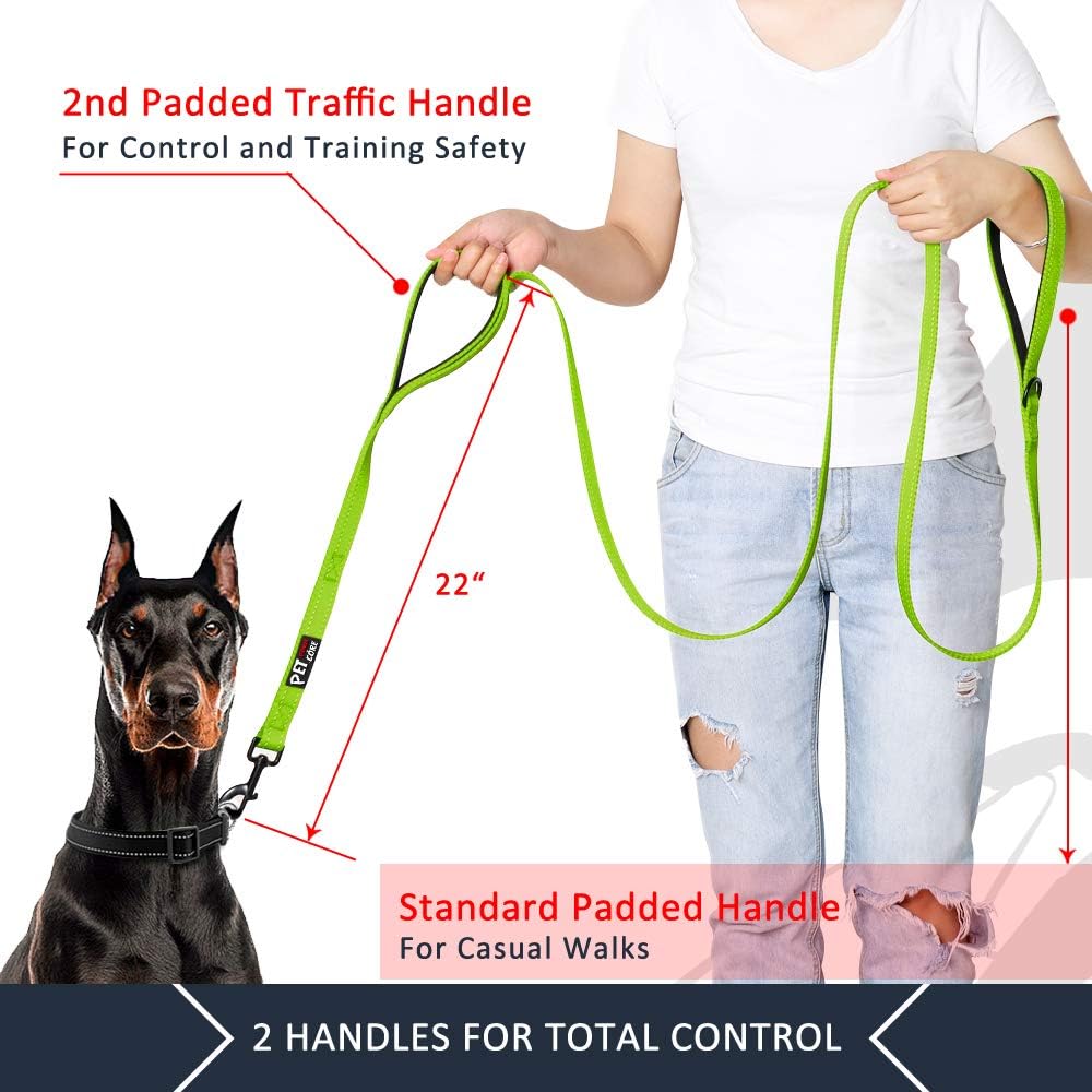 Double-Handle Reflective Dog Leash, 6ft (Green)