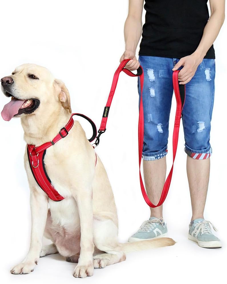Double Handle Dog Leash, 6ft, Padded, Heavy Duty, Reflective, Red, 2 Handle Leads