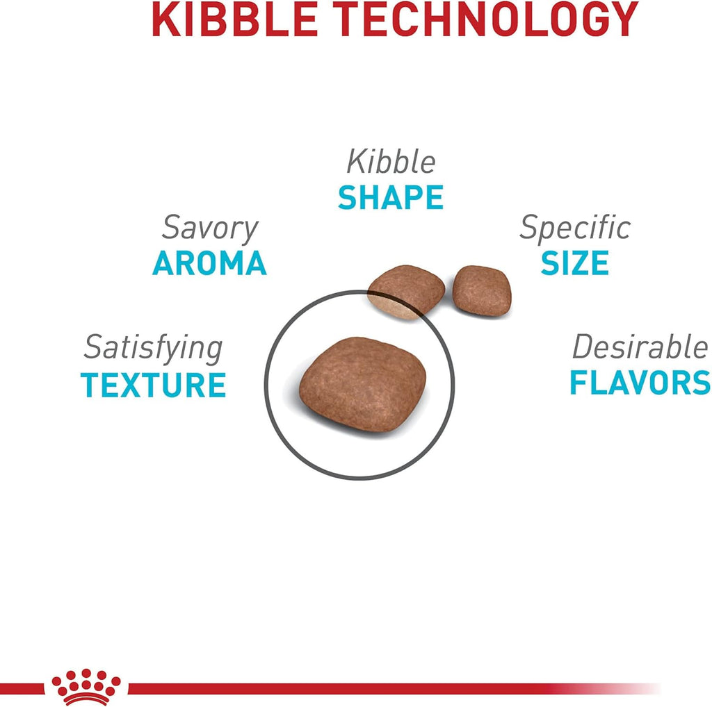 Feline Care Nutrition Urinary Care Adult Dry Cat Food, 3 lb Bag