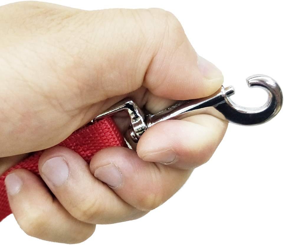 Nylon Training Dog Leash for Small Medium Large Dogs, 15ft 20ft 30ft 50ft Long Leash Dog/Puppy Lead for Obedience Recall Training, Camping (20ft, Red)