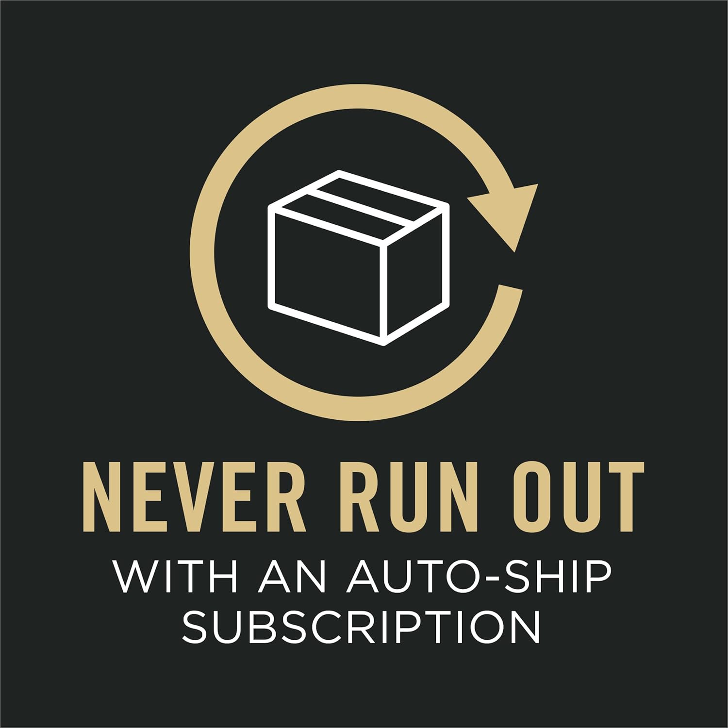 Vital Systems Salmon and Egg Formula 4-in-1 Adult Dry Cat Food - 3 lb. Bag