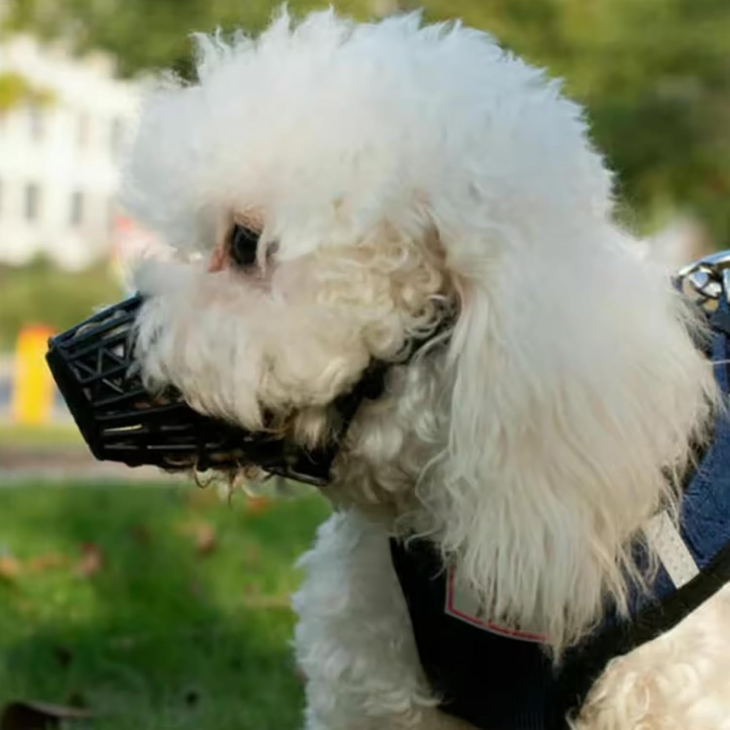 Dog Muzzles Anti Biting Adjustable Plastic Breathable Basket Muzzle Different Sizes for Small, Medium, Large & Extra Dogs