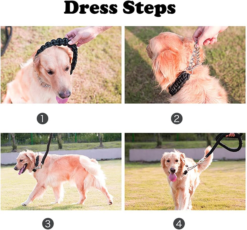 Dog Collar and Leash Set, Heavy Duty Nylon Braided Rope Strong 4 FT Dog Leash and Martingale Training Collar for Small Medium Large Dogs Training and Walking