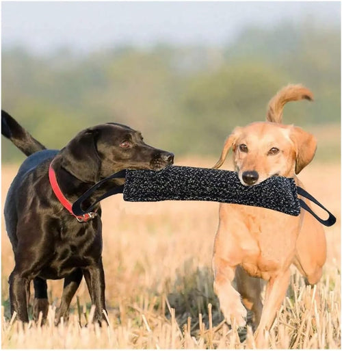 1pc Dog Bite Stick Enhances Effective Training- Comfortable Handle for Interactive Play, Grinding Teeth, and Chew Training