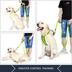 Double Handle Dog Leash 6ft Long, Padded 2 Handle, Heavy Duty, Reflective Training Leash for Medium Large Dogs, Dual Handle Lead (Green)