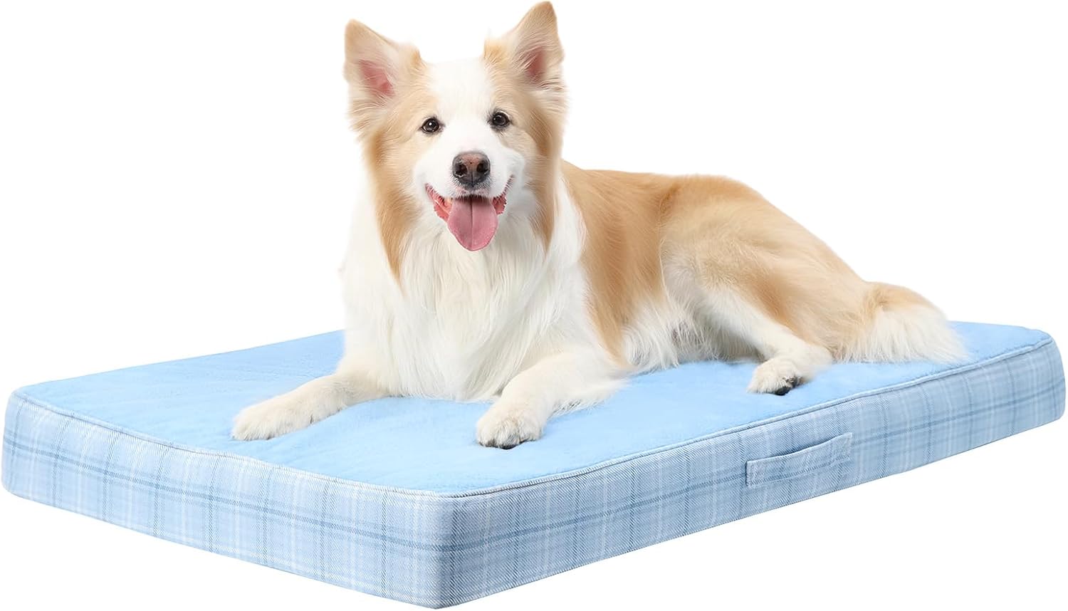 Washable Orthopedic Egg-Crate Dog Bed (Blue)