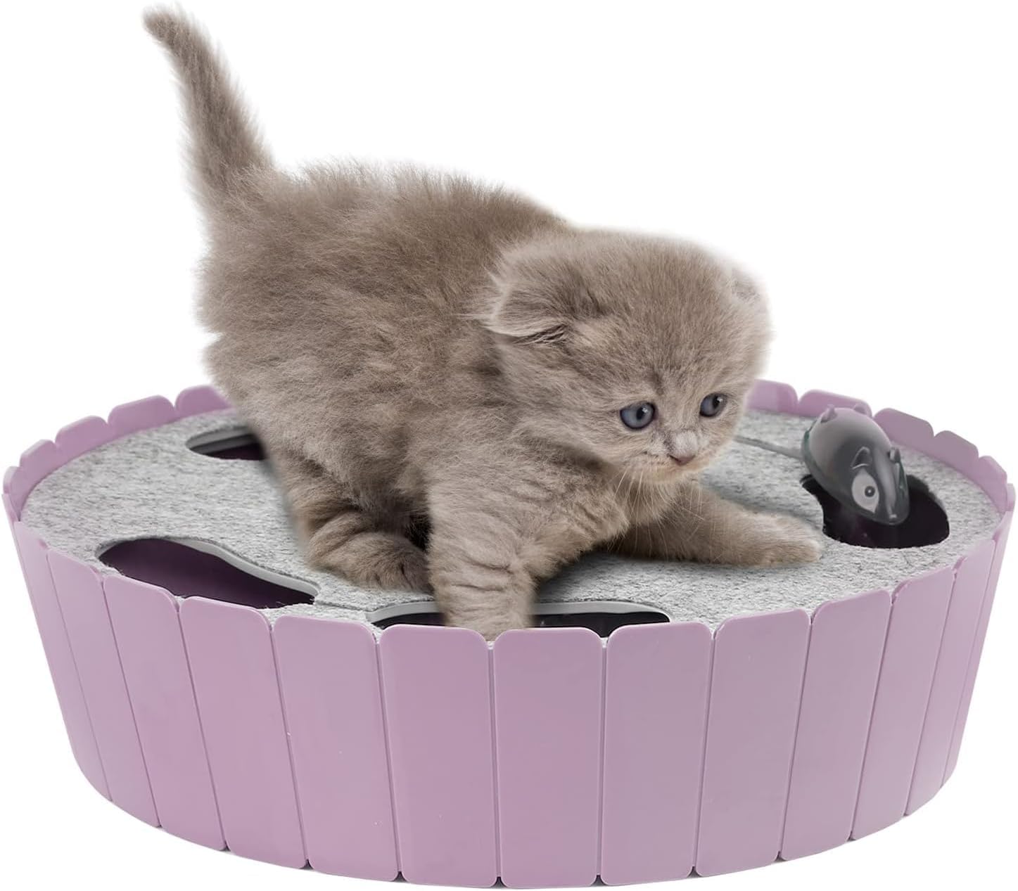 Interactive Cat Track Toy with Running Mouse